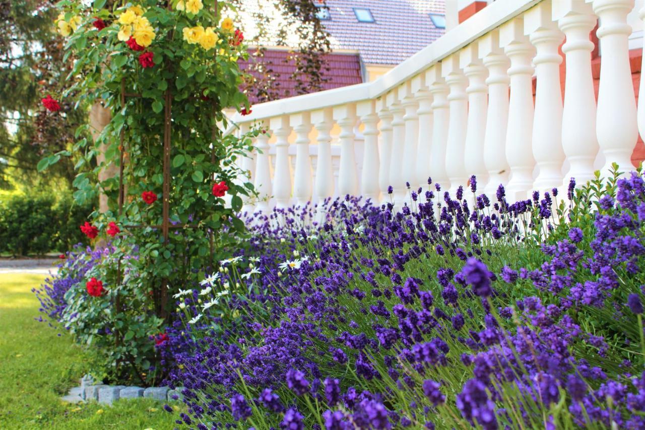 Rosen Villa カッペルン エクステリア 写真