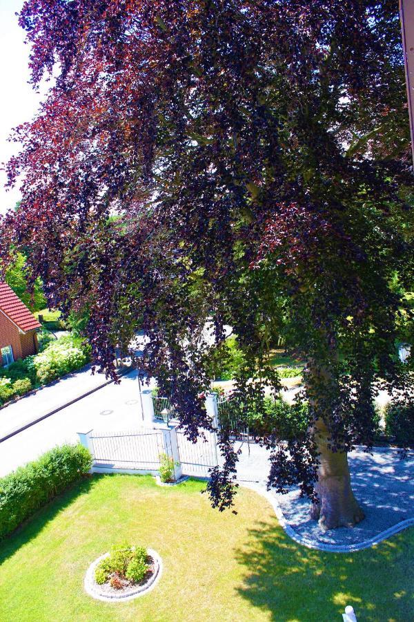 Rosen Villa カッペルン エクステリア 写真